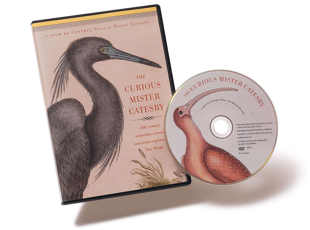 The Curious Mister Catesby DVD and case